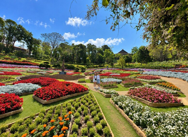 Chiang Rai: Guided Tour Countryside Border & Golden Triangle 1