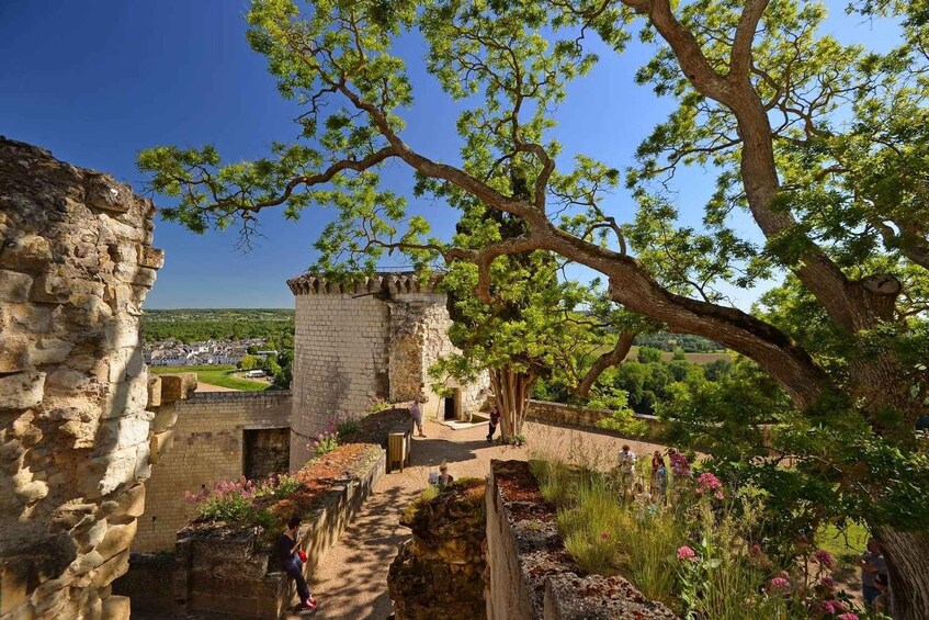 A historic stone building with a tree in the foreground and a view of a village in the background. 3