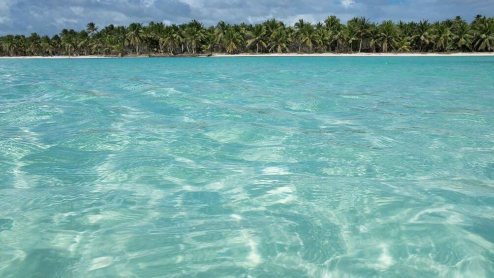 Picture 1 for Activity From Santo Domingo: Saona Island Catamaran & Speedboat Tour 2