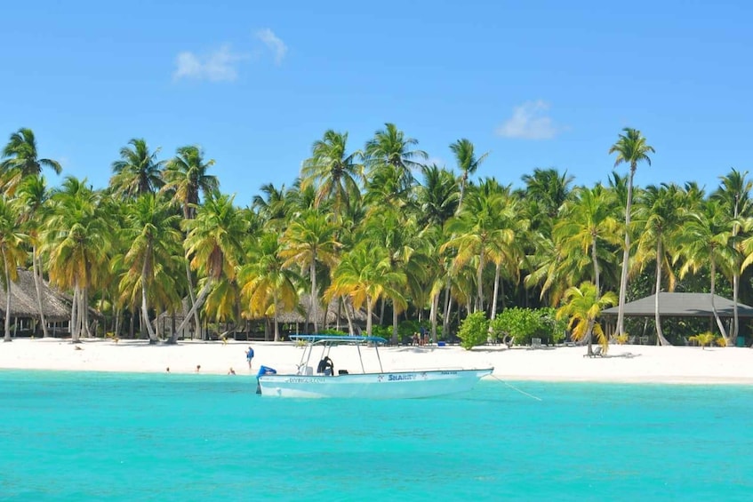 A turquoise sea, a boat, palm trees, and a beach with a hut. 3