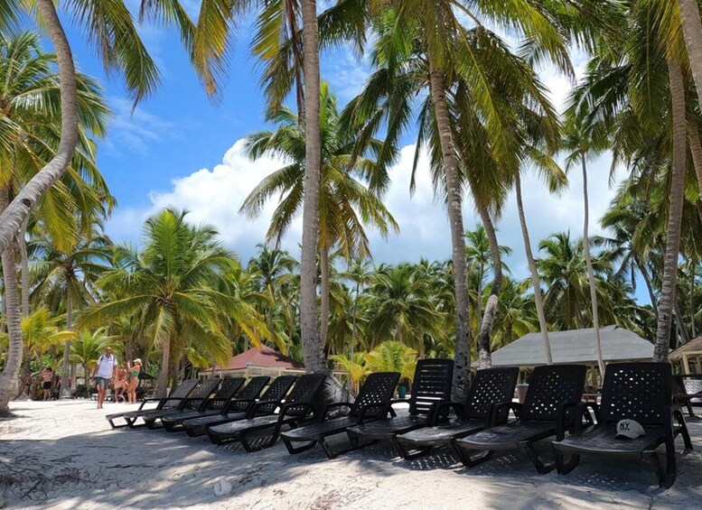 Picture 5 for Activity From Santo Domingo: Saona Island Catamaran & Speedboat Tour 4