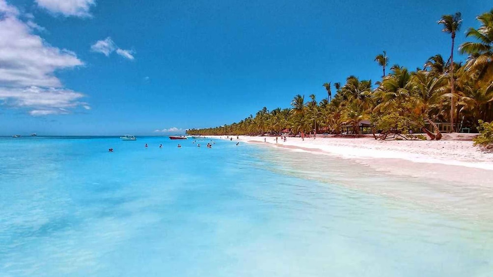 A beach with clear turquoise water, white sand, and palm trees. 5