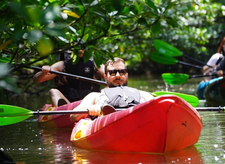 Picture 2 for Activity Iriomote: Mangrove SUP or Canoe and Yubujima sightseeing 4