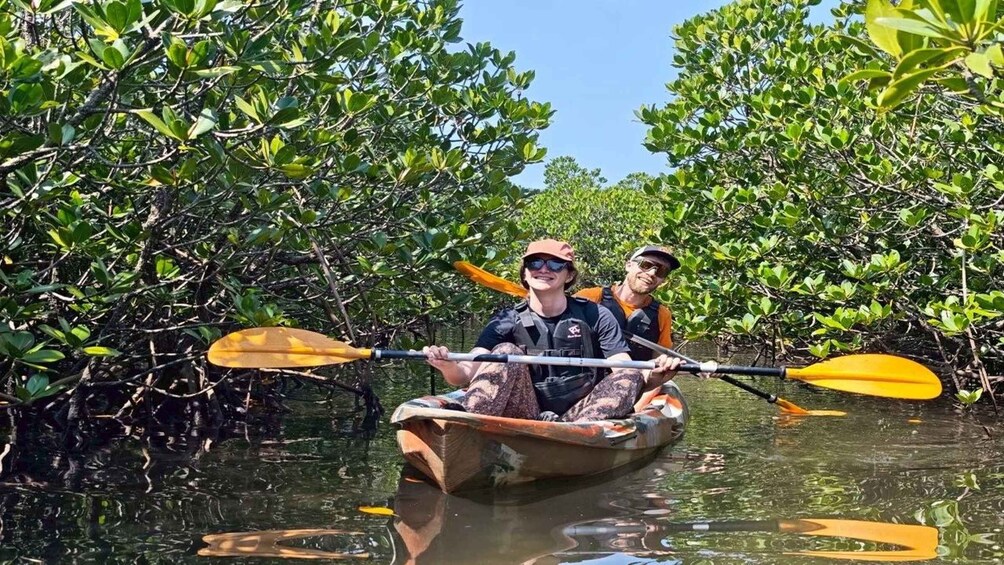 Iriomote: Mangrove SUP or Canoe and Yubujima sightseeing 1