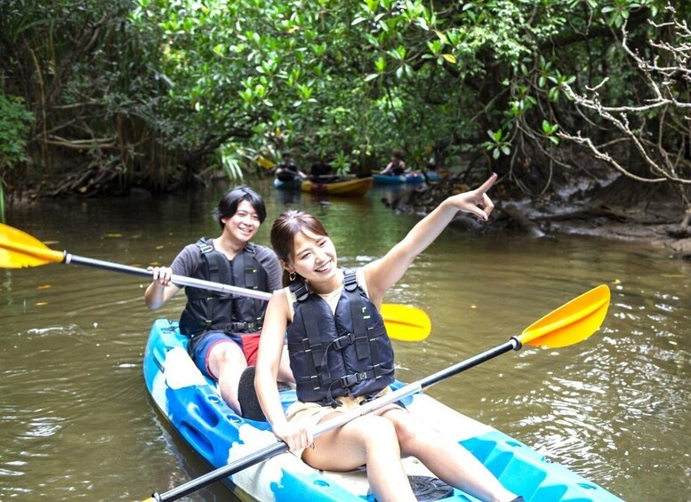 Picture 3 for Activity Iriomote: Mangrove SUP or Canoe and Yubujima sightseeing 5