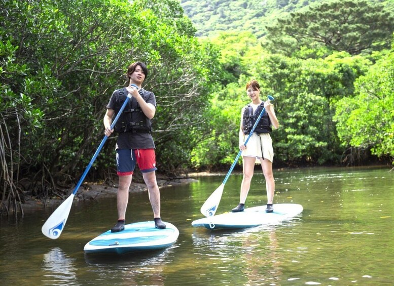 Picture 4 for Activity Iriomote: Mangrove SUP or Canoe and Yubujima sightseeing 2