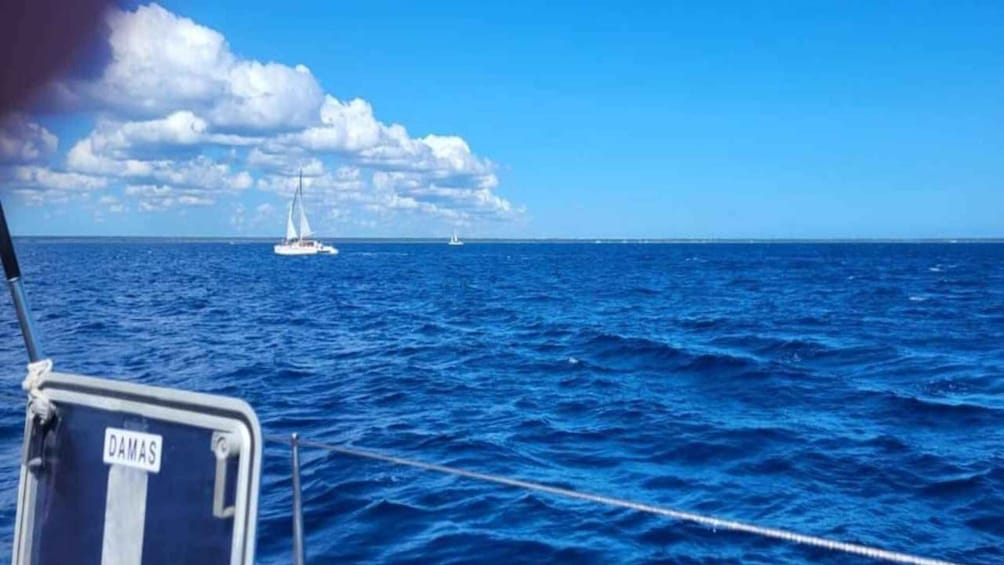 Picture 4 for Activity Santo Domingo: Isla Saona Day Trip with Lunch & Drinks 3