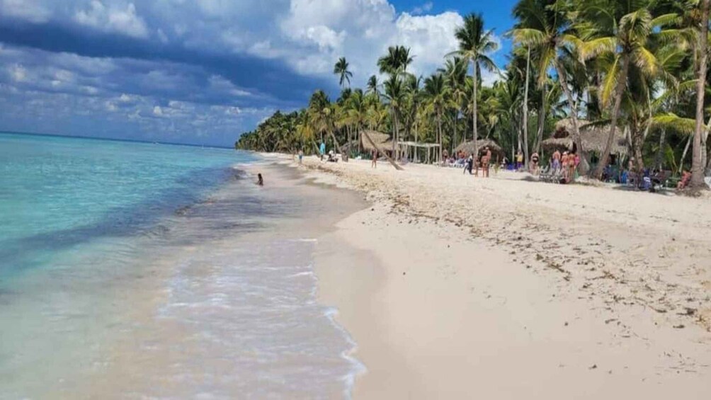 Picture 2 for Activity Santo Domingo: Isla Saona Day Trip with Lunch & Drinks 5