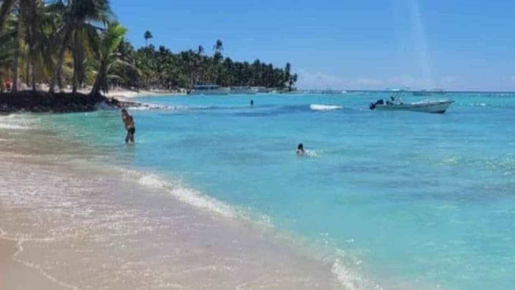 Picture 1 for Activity Santo Domingo: Isla Saona Day Trip with Lunch & Drinks 4