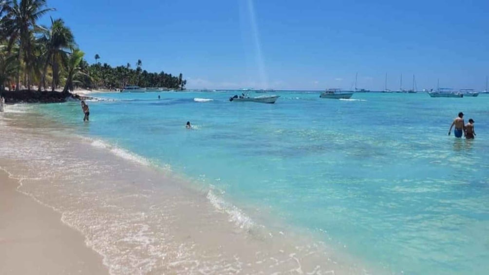 Santo Domingo: Isla Saona Day Trip with Lunch & Drinks 1