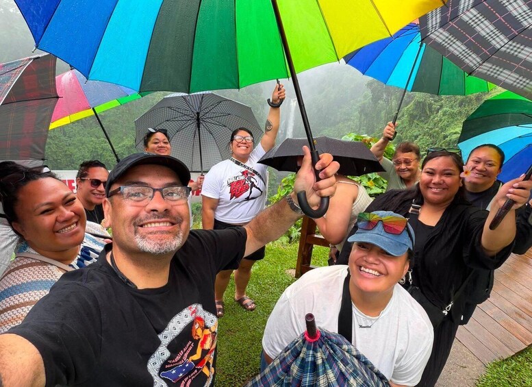 Picture 3 for Activity Samoa: Private Tour 2