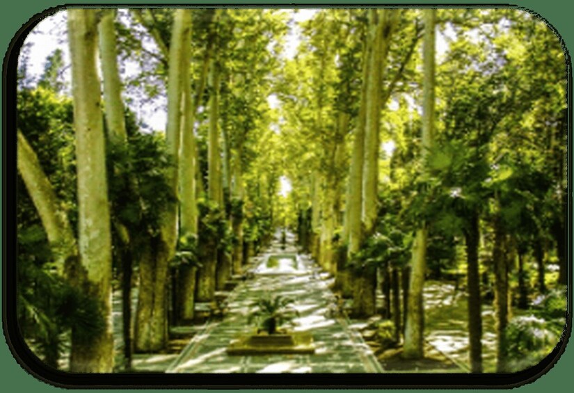 Picture 2 for Activity Ganja City: From Baku to the West of Azerbaijan Guided Trip 4