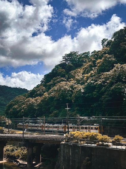 From Taipei: Sandiaoling & Makang Private Guided Day Trip 1