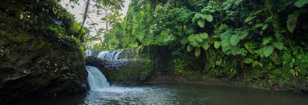 Picture 5 for Activity Ultimate Upolu Highlights Apia Cruise Ship Shore Excursion 4
