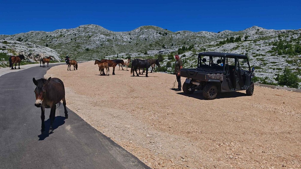 Picture 7 for Activity Makarska: Baggy Skywalk & Biokovo Viewpoint Tour 2