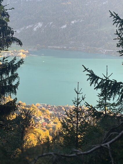 A coastal landscape with a turquoise bay, dense forest, and a distant town. 2