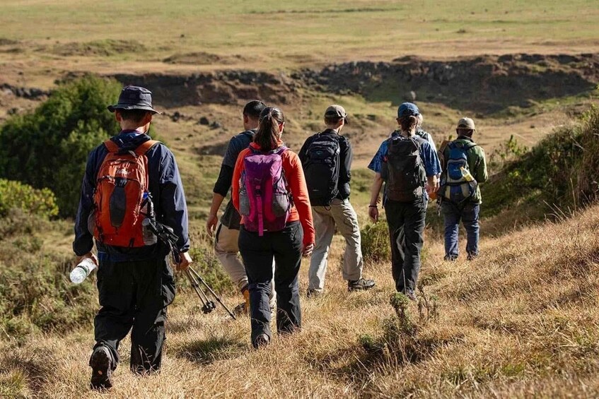 Un groupe de randonneurs marchant sur une colline couverte d’herbe. 1