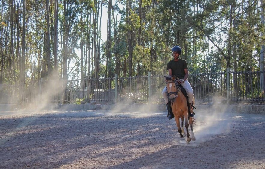Une personne à cheval dans une arène en plein air, entourée d’arbres. 3