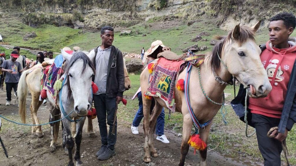Un groupe de personnes à cheval dans une région montagneuse. 4