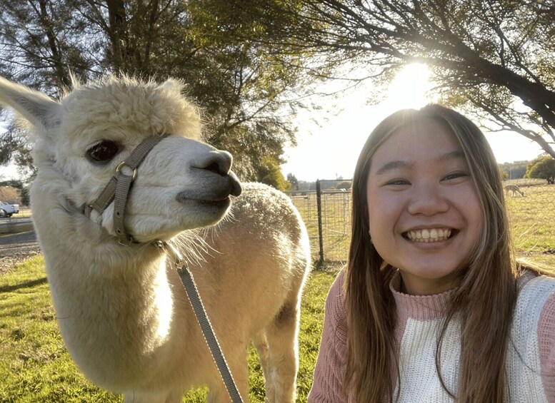 A person standing next to a llama in a grassy area with trees and a fence in the background. 1