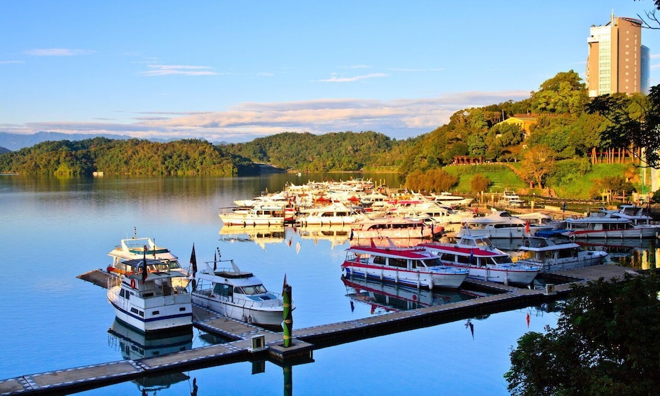 A marina with boats docked, a lighthouse, and a forested hill in the background. 1