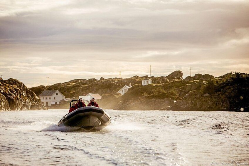 Rib safari Tour in Haugesund 4