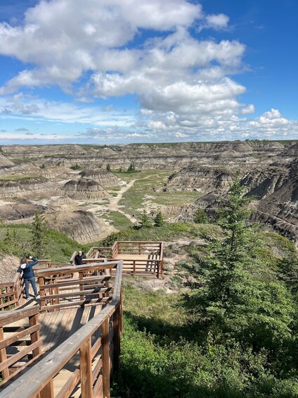 Picture 24 for Activity Royal Tyrrell Museum, Drumheller & Hoodoos Day Trip 2