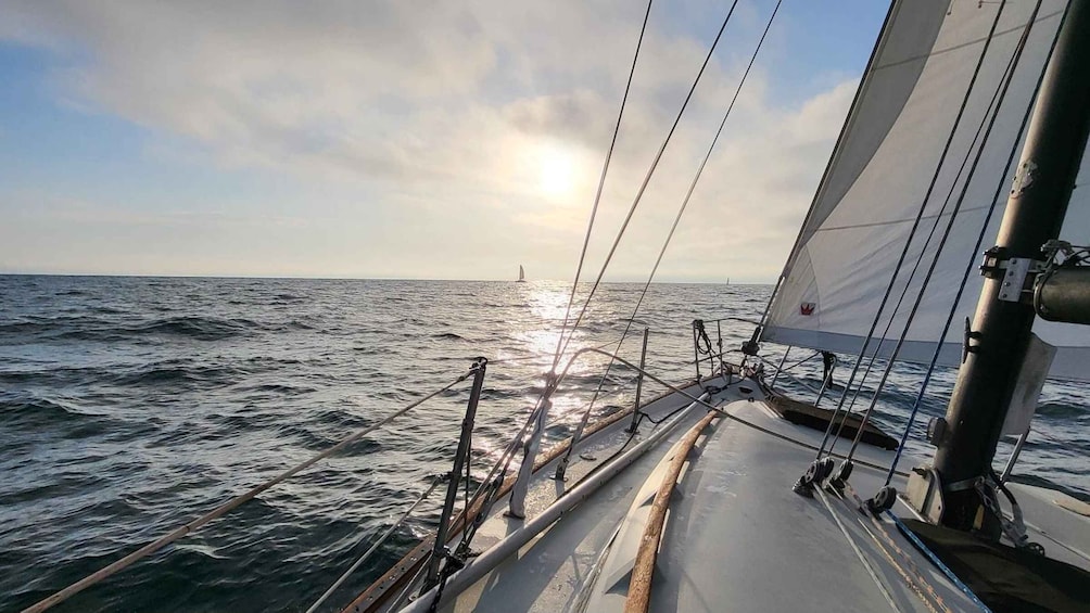 Picture 24 for Activity Los Angeles: Sunset Sailing 2