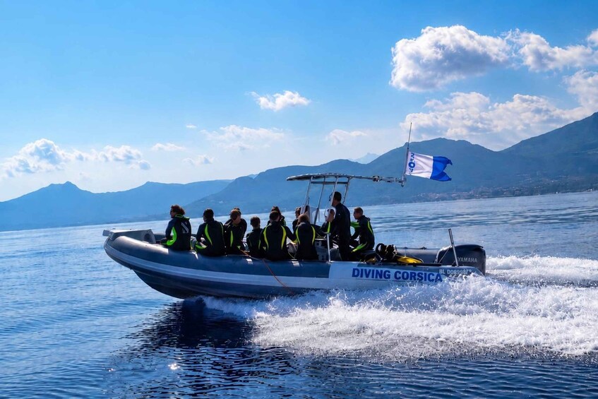 Picture 6 for Activity Calvi/Lumio: Snorkeling Boat Trip with fins, mask, and snorkel 2