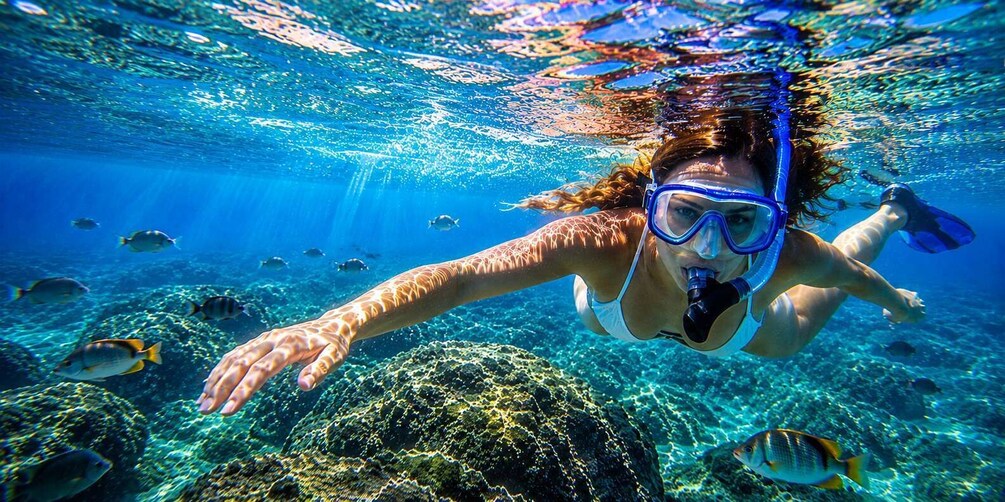 Calvi/Lumio: Snorkeling Boat Trip with fins, mask, and snorkel 1