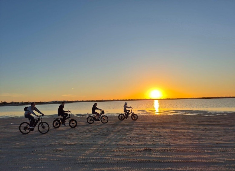 Picture 3 for Activity Electric Bike Rental in Djerba: Ride in style! 4H/8H 5