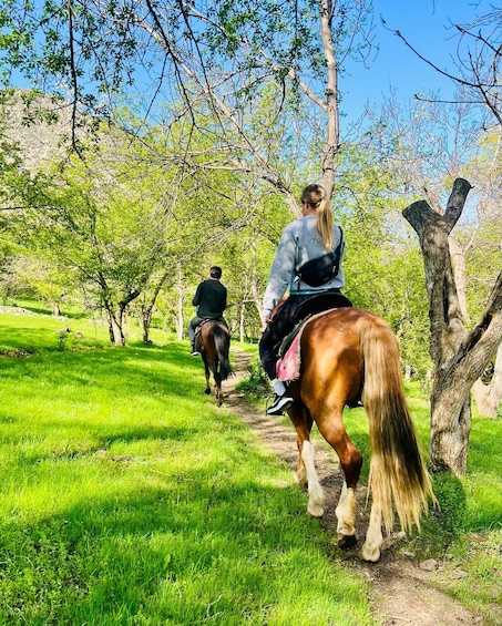 Picture 10 for Activity Samarkand: Nurota 2-day Horseback Riding & Village Tour 5