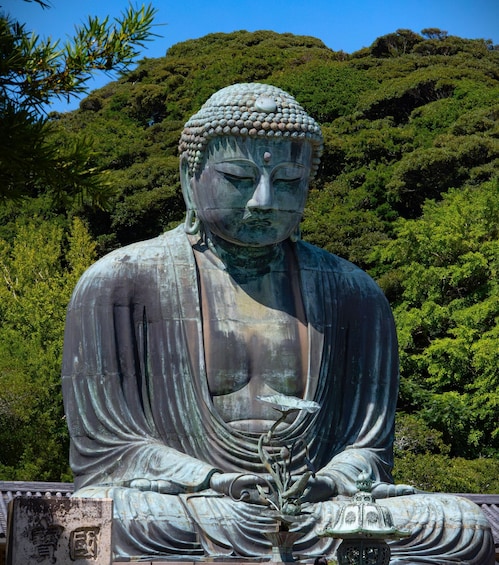 Picture 1 for Activity Kamakura: A Journey Through Medieval Japan (+Photography) 2