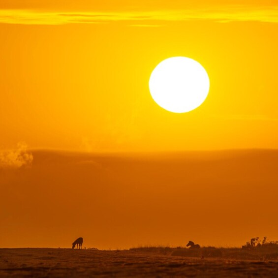 Picture 6 for Activity Arusha: 5-Day Serengeti, Ngorongoro & Lake Natron Safari 3