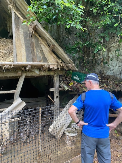 A man standing in front of a bird enclosure with a wooden structure and a wire mesh fence. 3