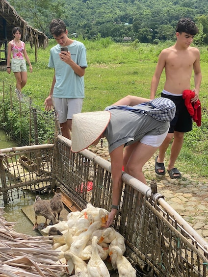 A person feeding ducks at a pond, surrounded by a bamboo fence. 5
