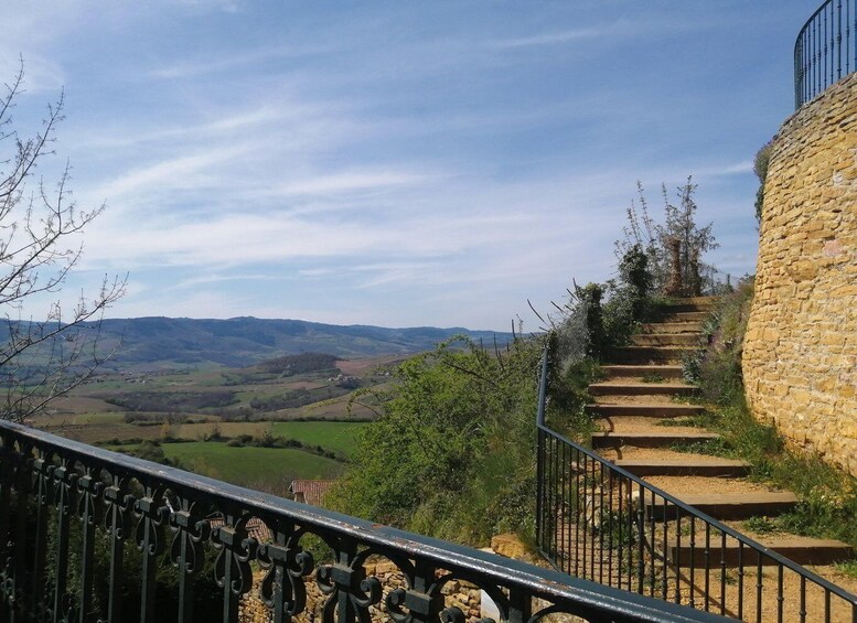Picture 9 for Activity Beaujolais Wine Tour - Half Day 3