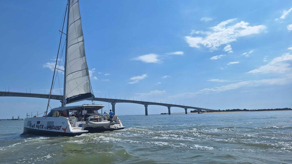 Picture 1 for Activity La Flotte, Ile de Ré: Sailing Catamaran Cruise 5