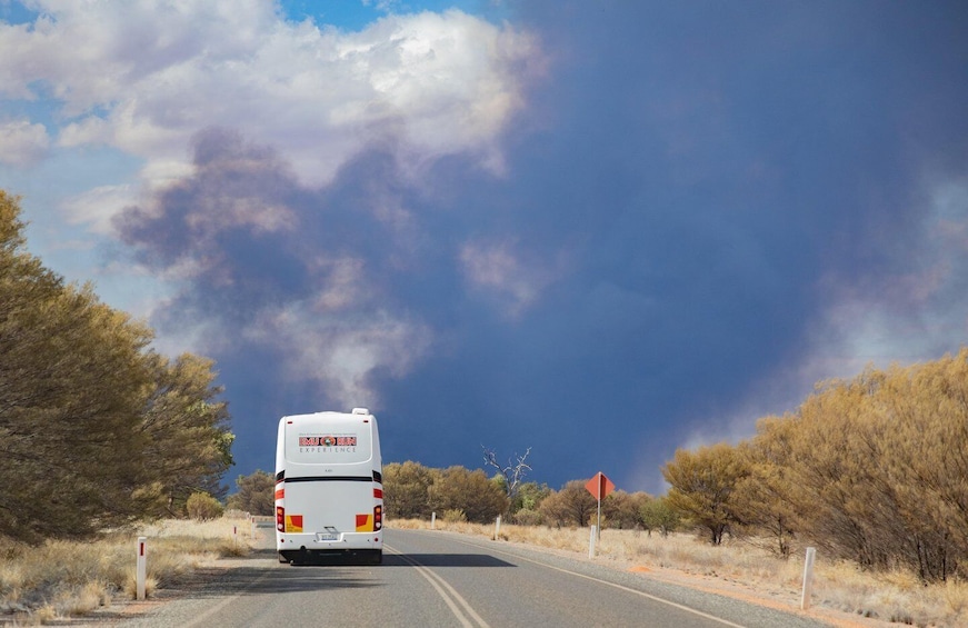 Picture 2 for Activity Kings Canyon: Transfer to Alice Springs 2