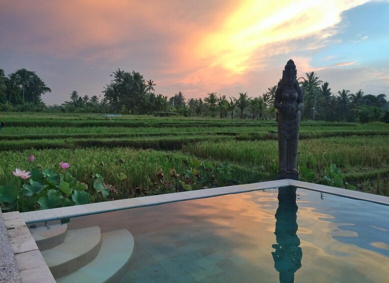 A serene landscape with terraced rice fields, a lotus pond, and a statue. 1