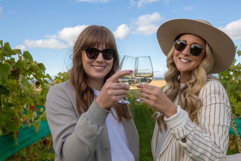 Two people toasting with wine glasses in a vineyard. 1
