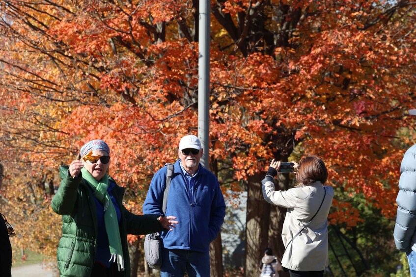 Picture 4 for Activity Montreal: Fall Colors of the Laurentians and Mont-Tremblant 2