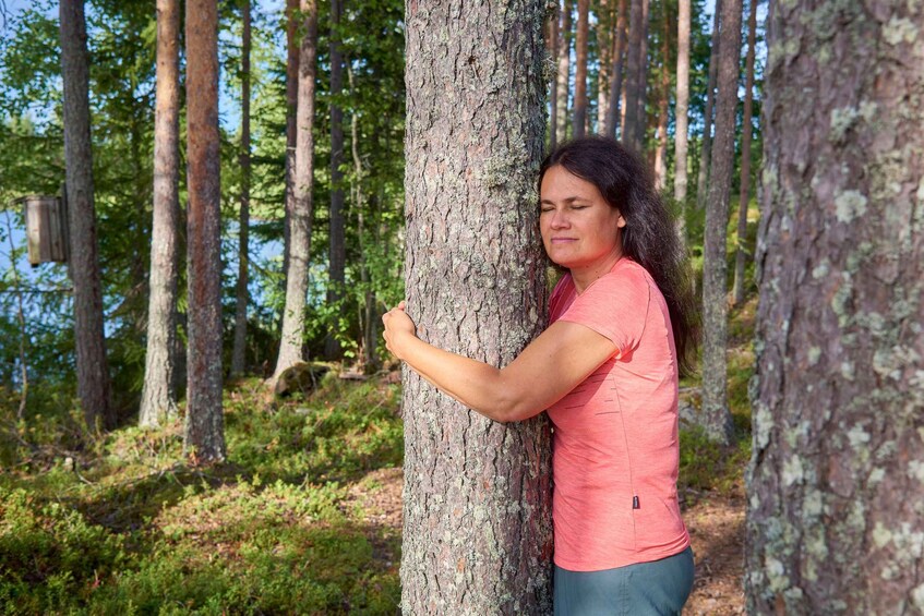 Finnish Karelia: Forest bathing (Shinrin-Yoku) in the wilderness, all-inclusive 1