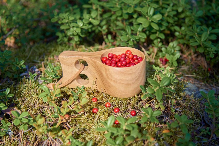 Picture 4 for Activity Finnish Karelia: Forest bathing (Shinrin-Yoku) in the wilderness, all-inclusive 4