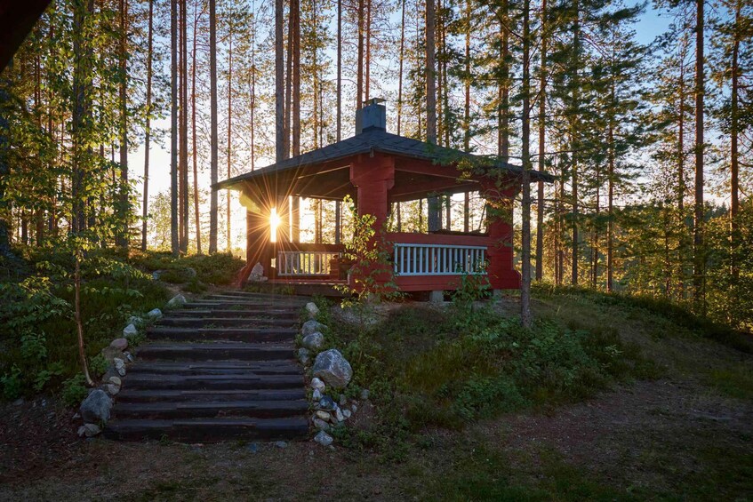 Picture 8 for Activity Finnish Karelia: Forest bathing (Shinrin-Yoku) in the wilderness, all-inclusive 2