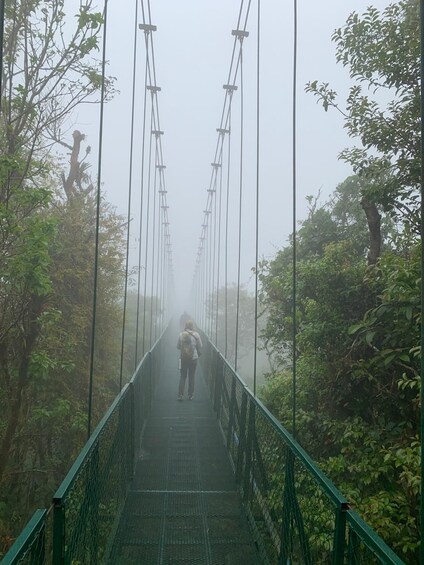 Picture 31 for Activity Monteverde Hanging Bridges & Night Walk 3