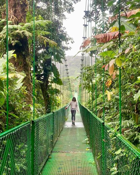 A person walking on a suspended bridge surrounded by lush greenery. 1