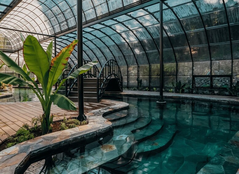 A greenhouse with a pool, plants, and a curved glass ceiling. 1