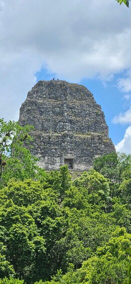 A large, ancient stone structure with a flat top, surrounded by lush green foliage. 5