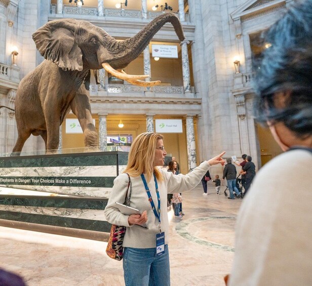 DC: Smithsonian Highlights Walking Tour with Air and Space 1
